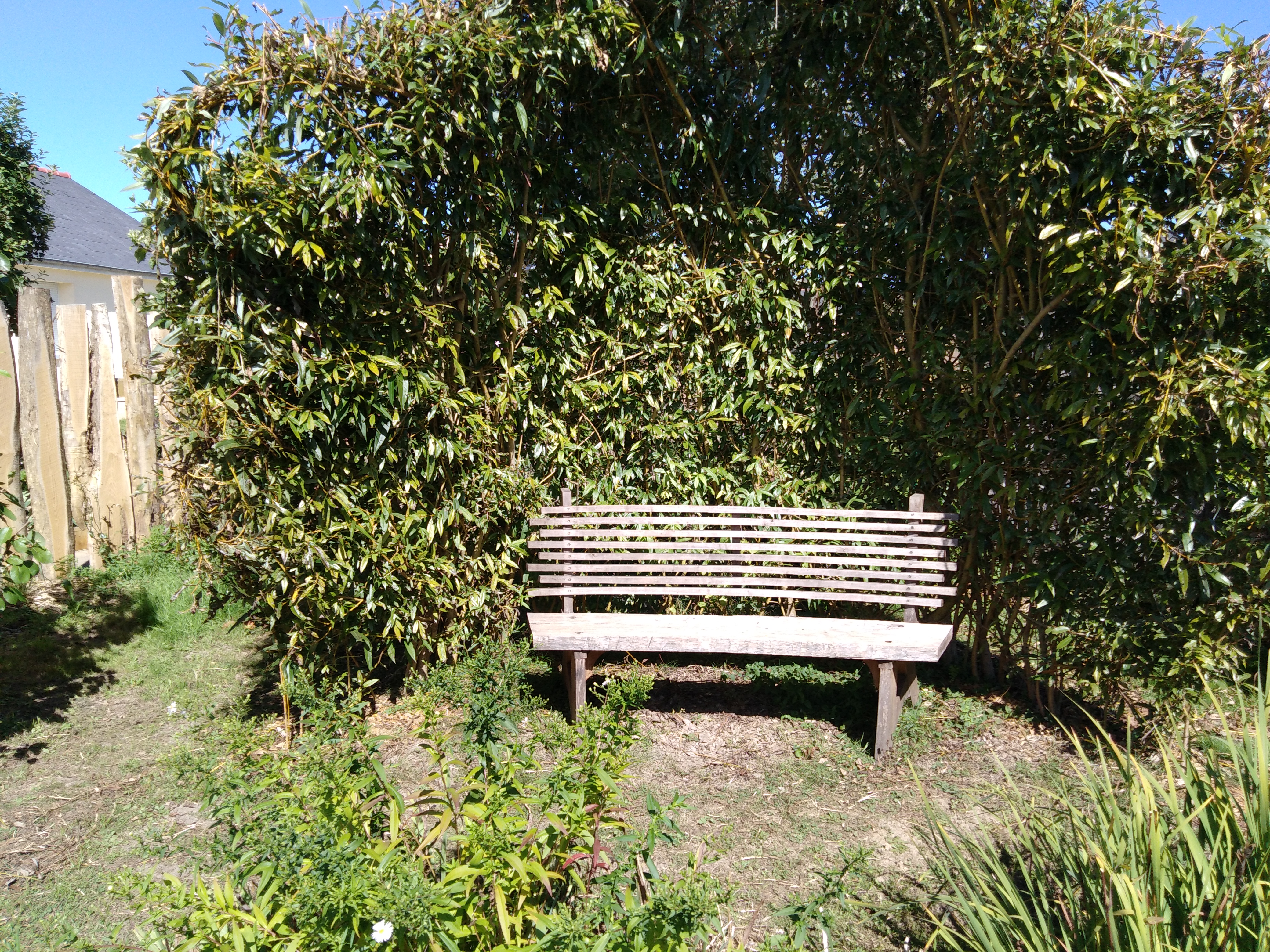 Img 20200908 130501