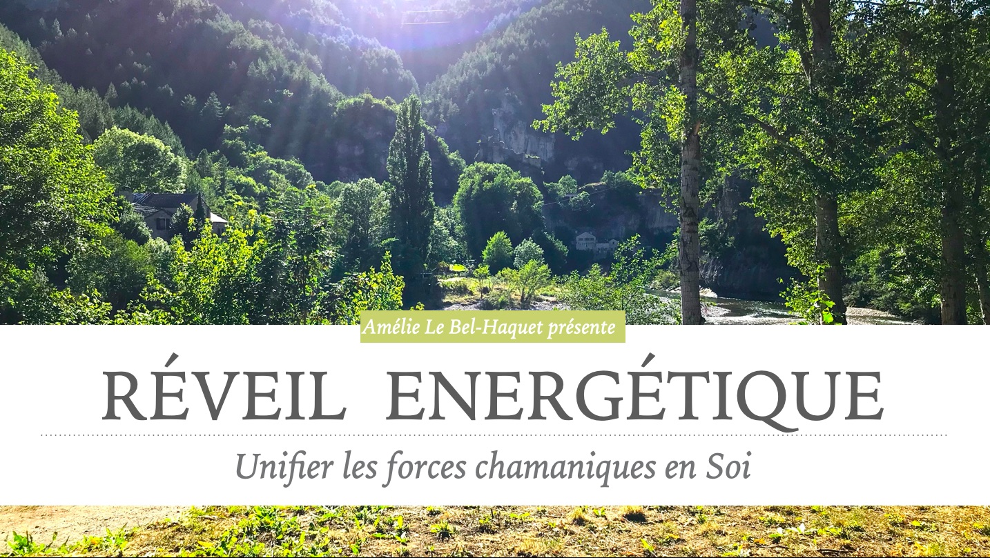 P1 reveil energetique