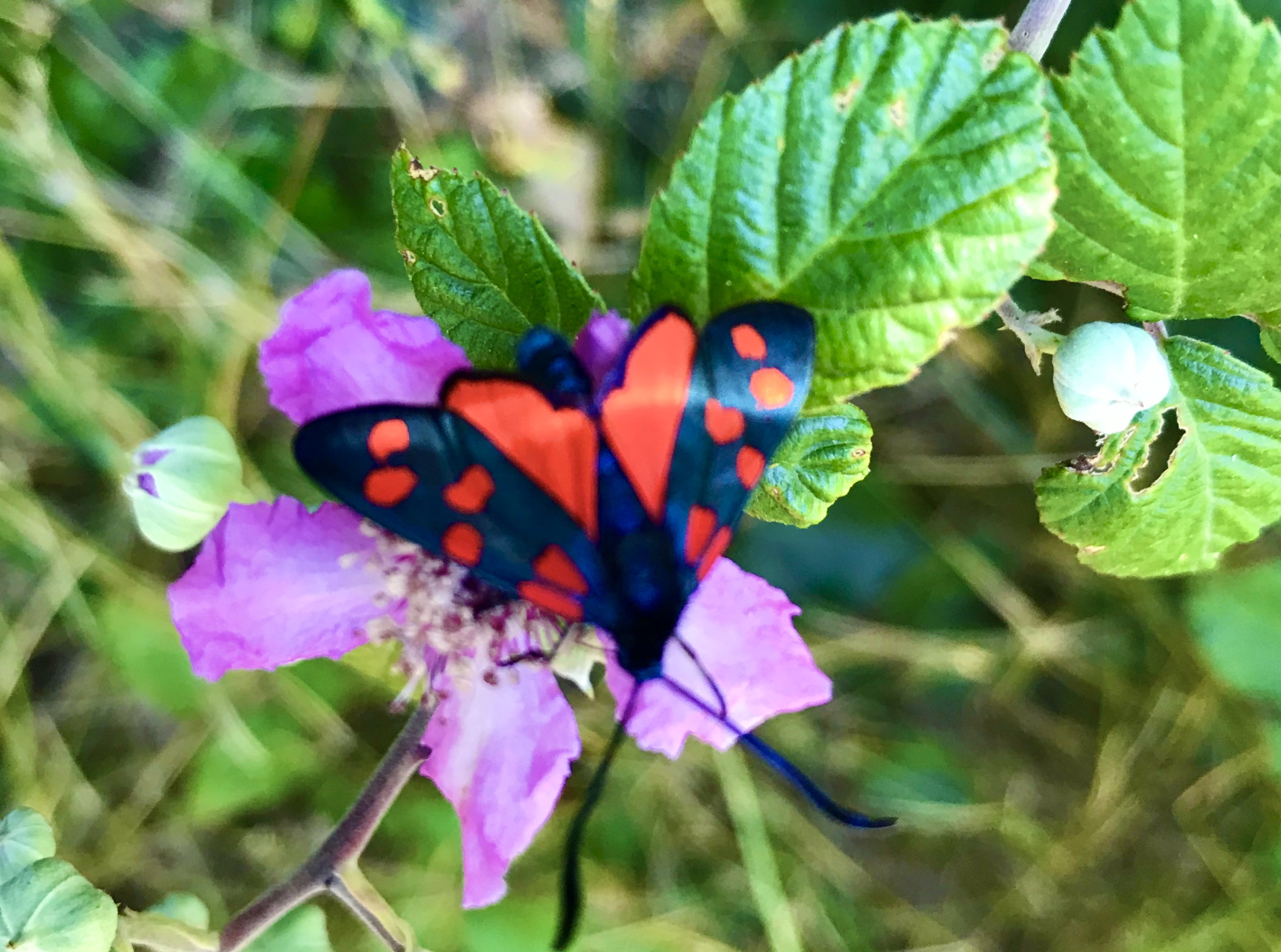 328AEF45-6CD1-4F09-BFF8-348A620453D6 1 201 a