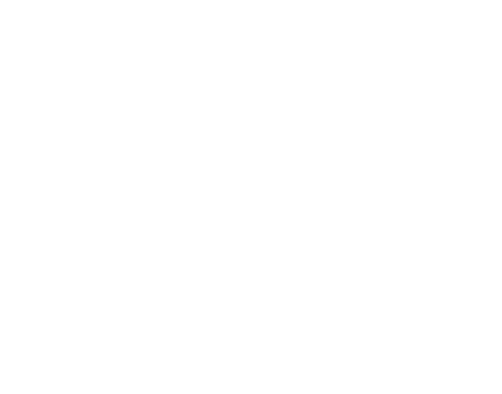 Logo-Kemys-blanc4