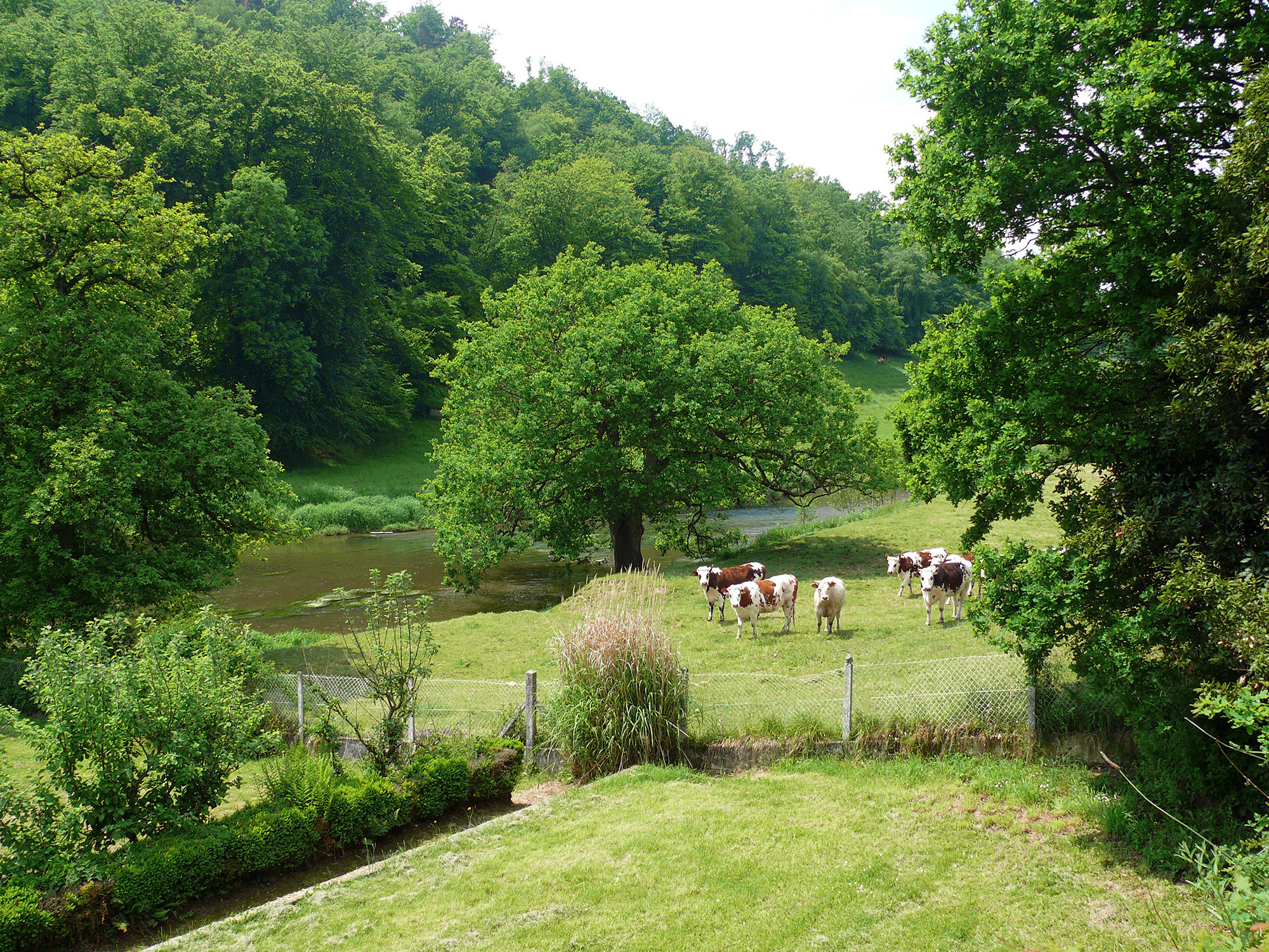 Bocagenormand valleedelavire paysage vache081012 calvados tourisme libre