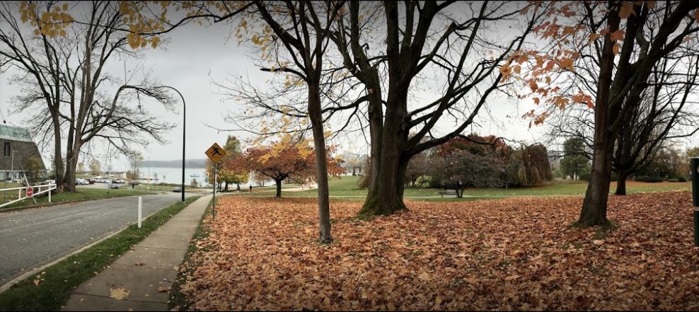 Vanier park cover