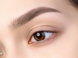 Sourcil