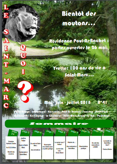 Capture-d-ecran-SMQ-41