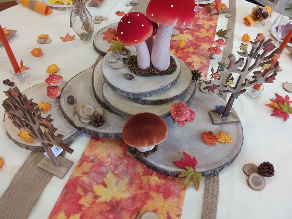 71077728 1490978341041903 6278629097350365184 n