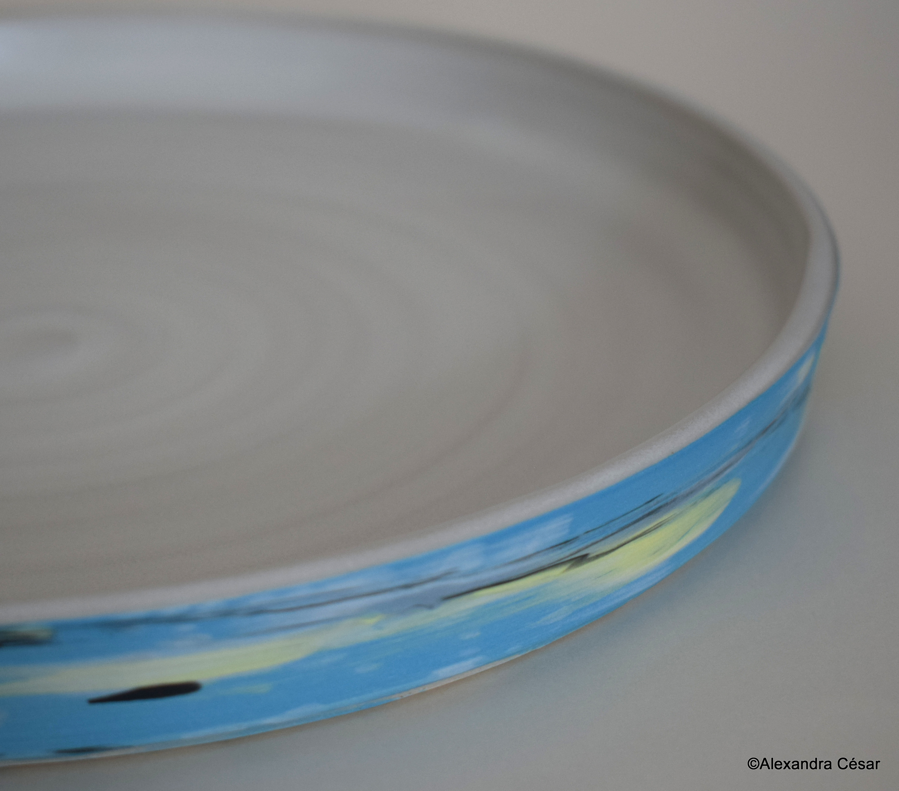 Photos assiettes 018 001