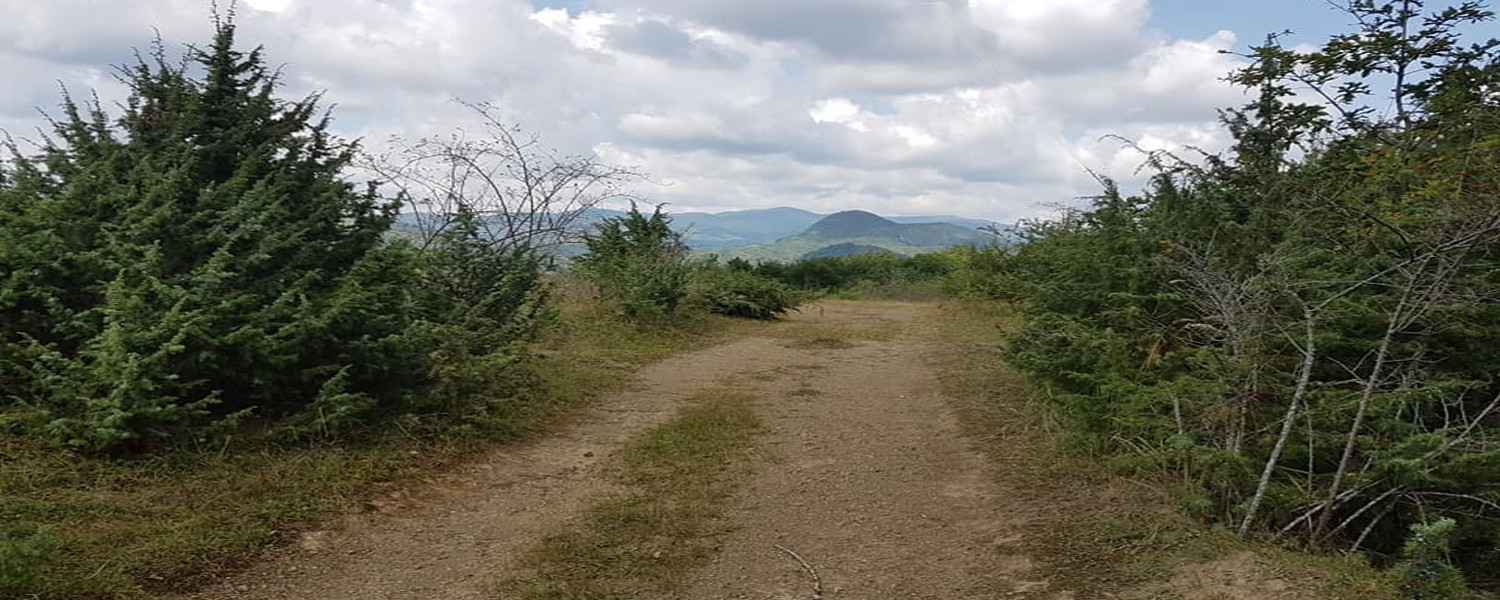 Chemin