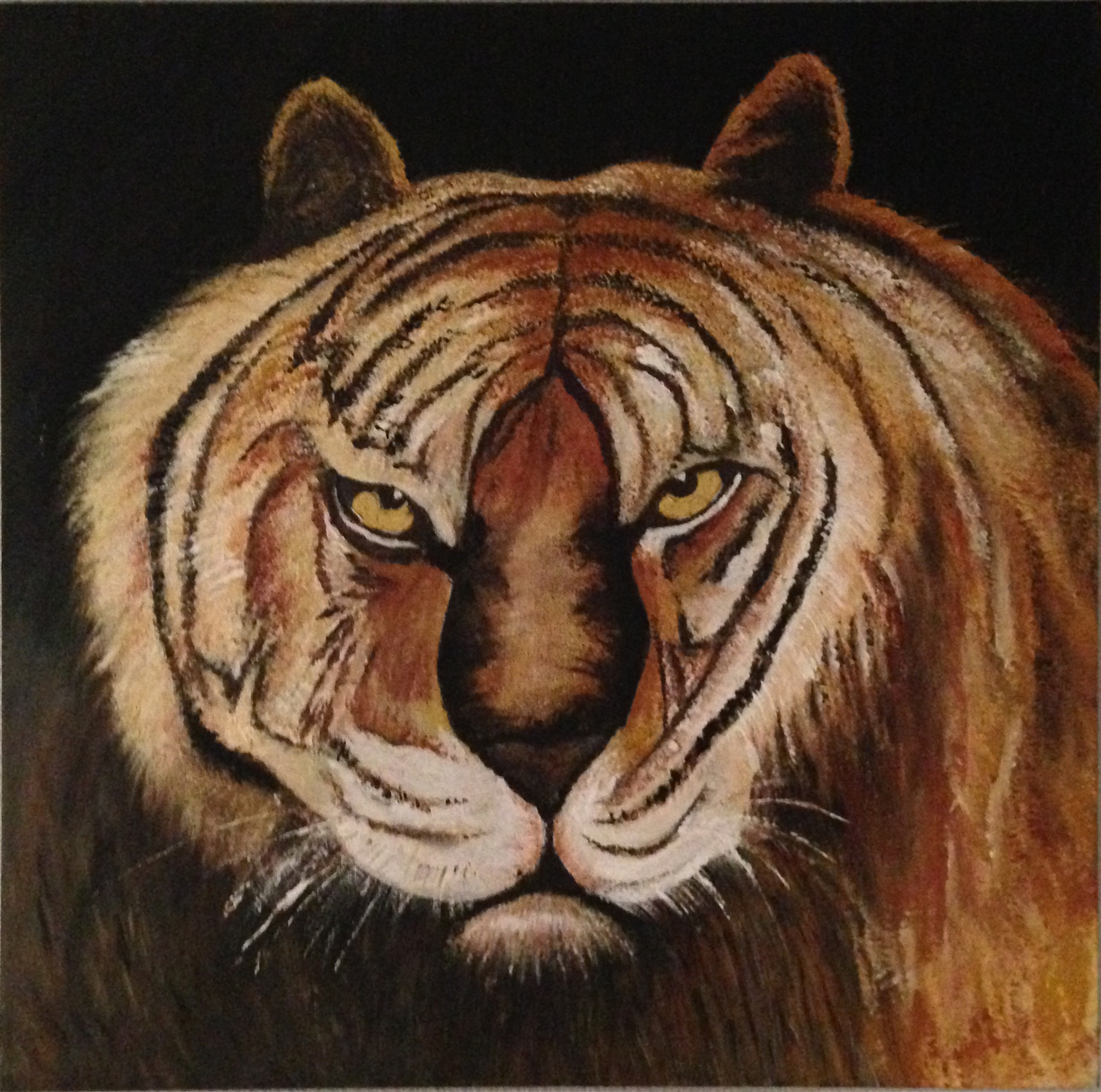 Tigre mariani 
