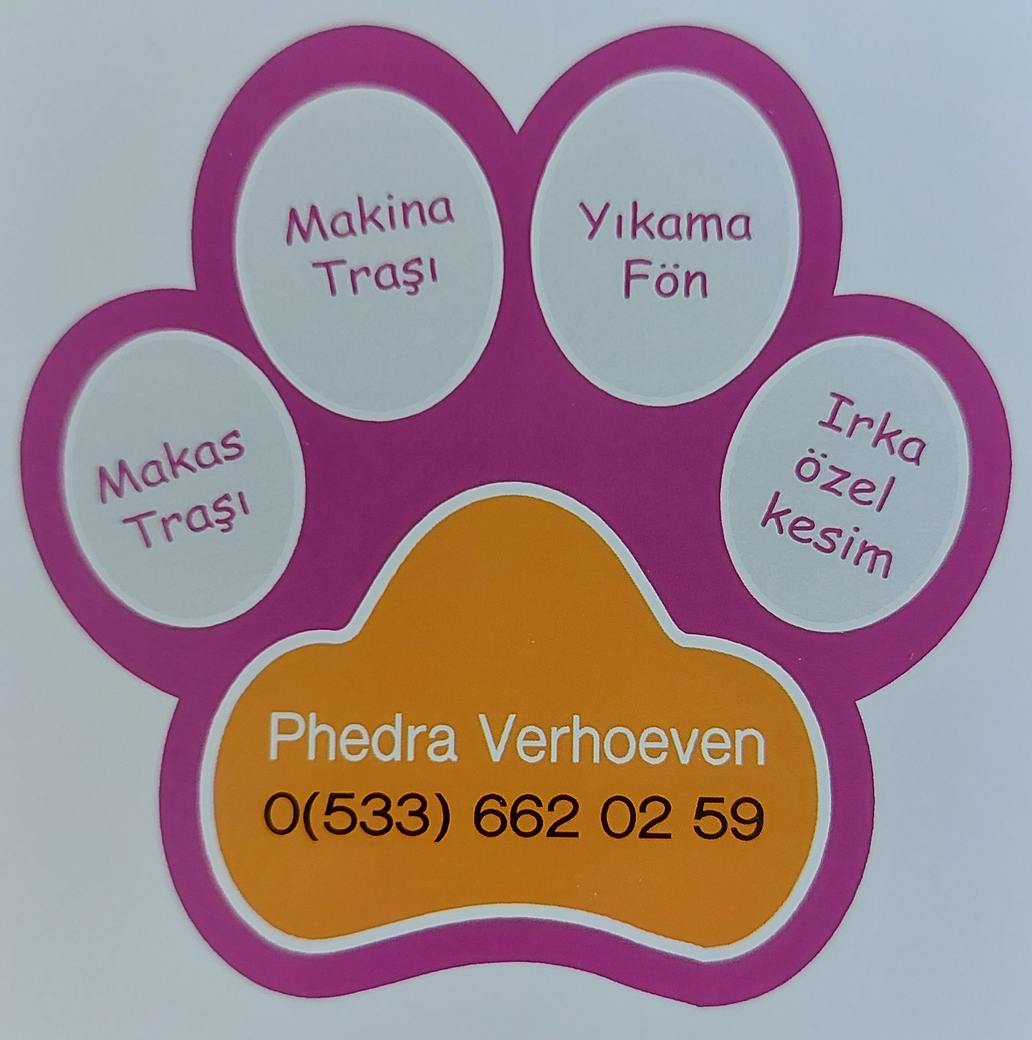 119915773 112808600569119 6106911956007098725 o