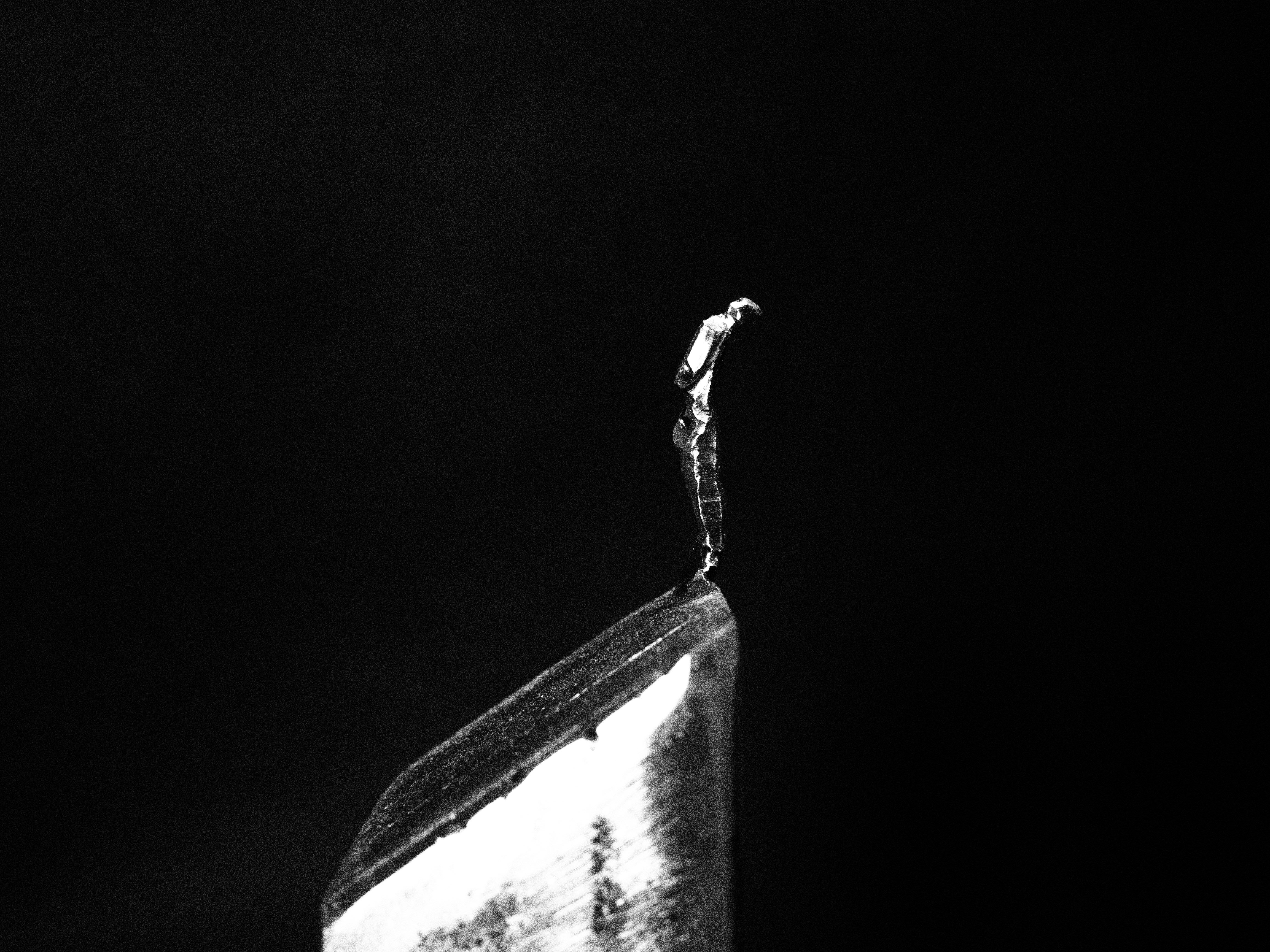P4240289