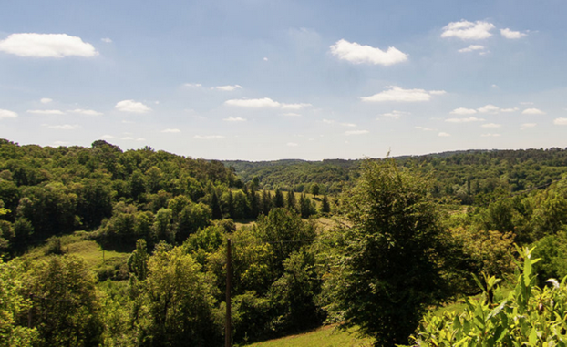 Vue-vignaud