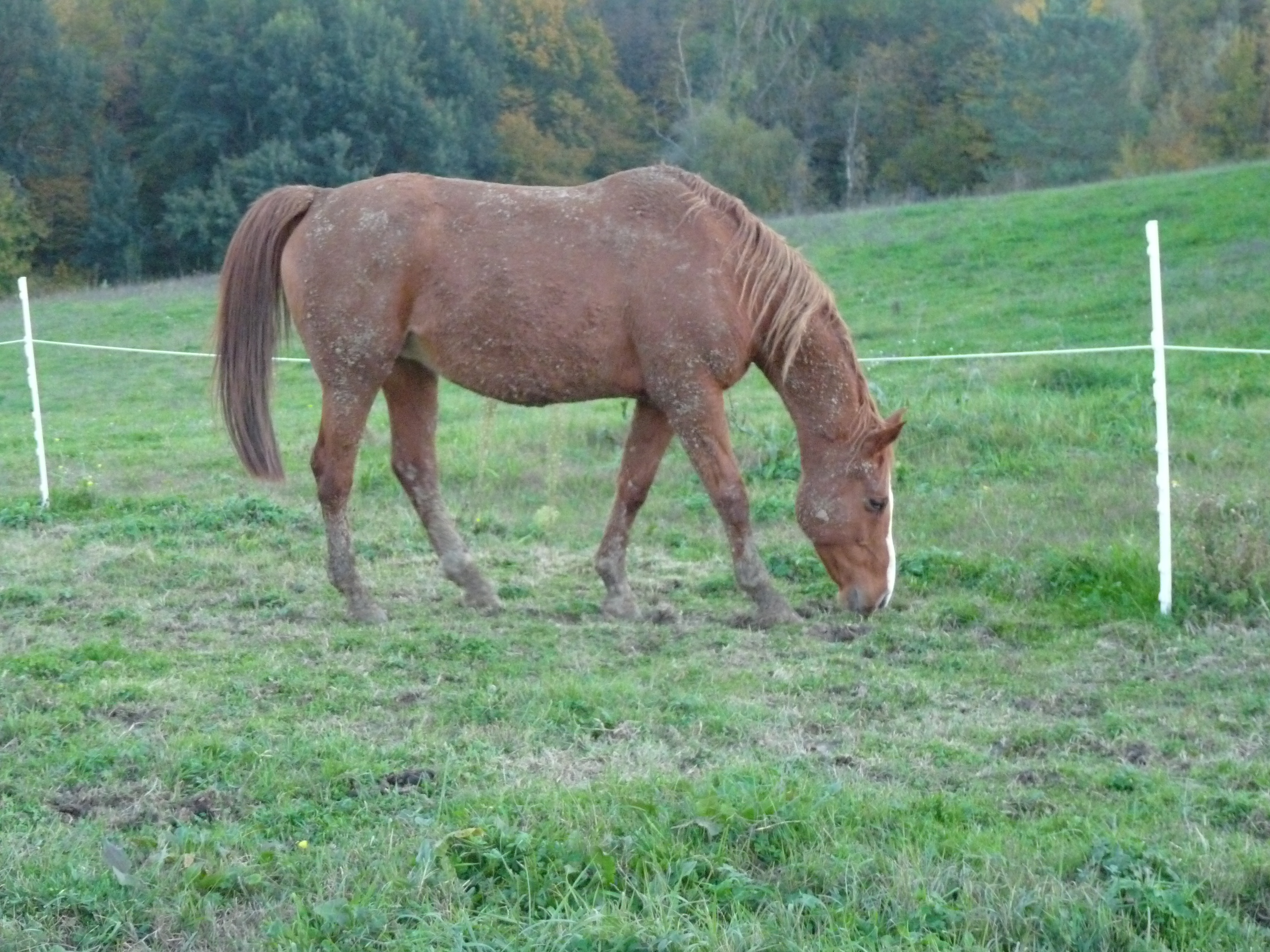 P1230798