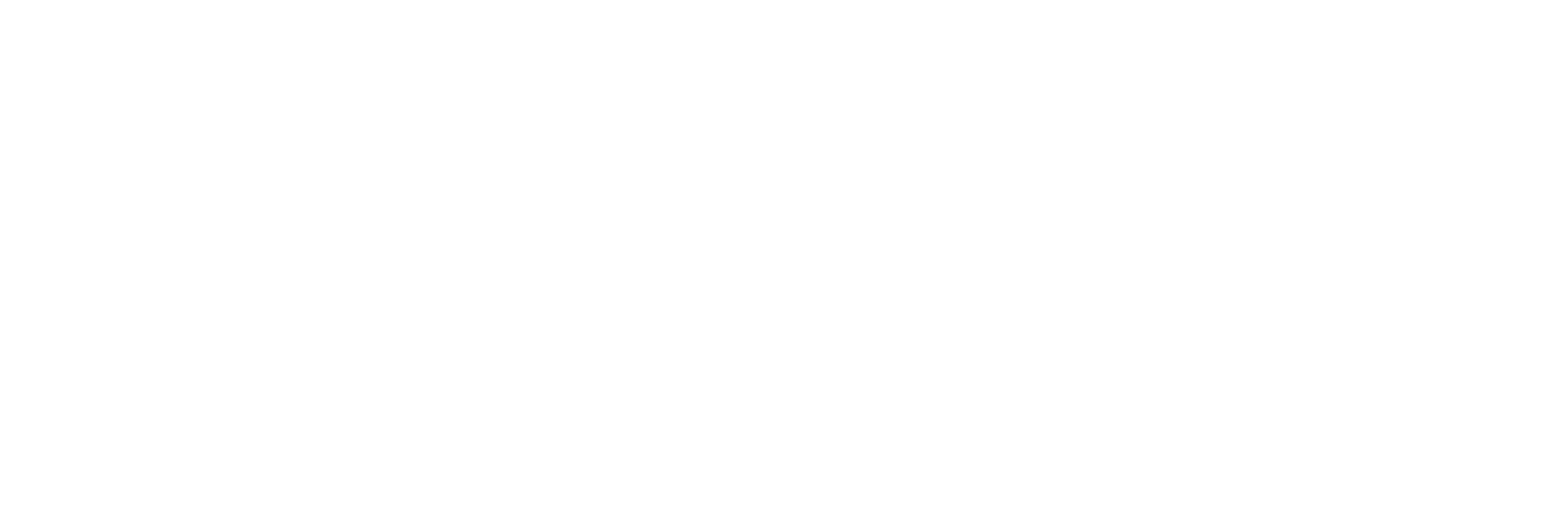 Fireflies-Store-New-Logo-4K-Horizo-2