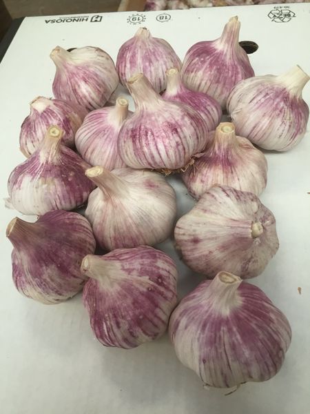 IMG 1914-11-11-20-08-35