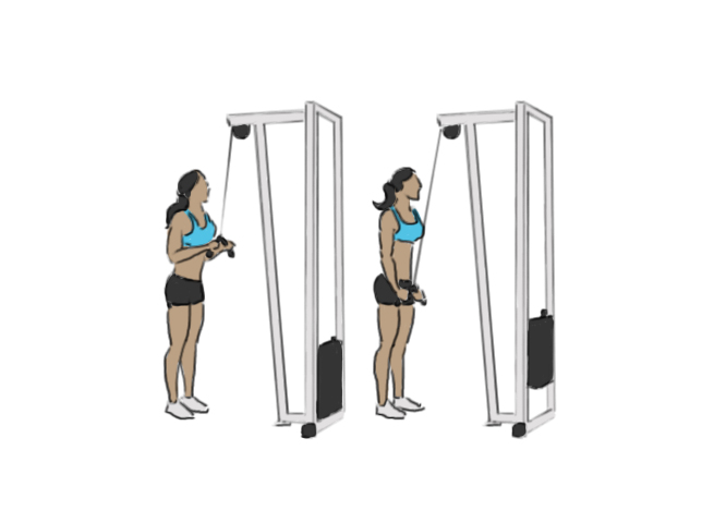 Triceps-v-pushdown