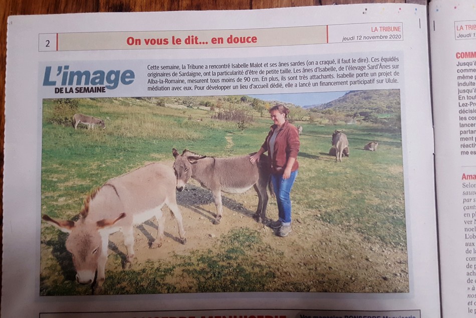 Sard anes en page 2 3