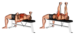 12541105-Band-Bench-Press Chest small