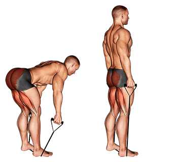 10231105-Band-straight-back-stiff-leg-deadlift Hips small