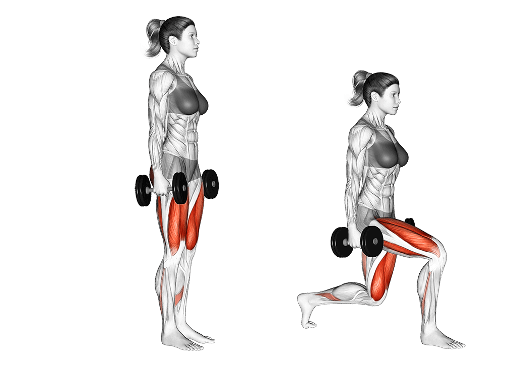 22191101-Dumbbell-Rear-Lunge-female Thighs medium