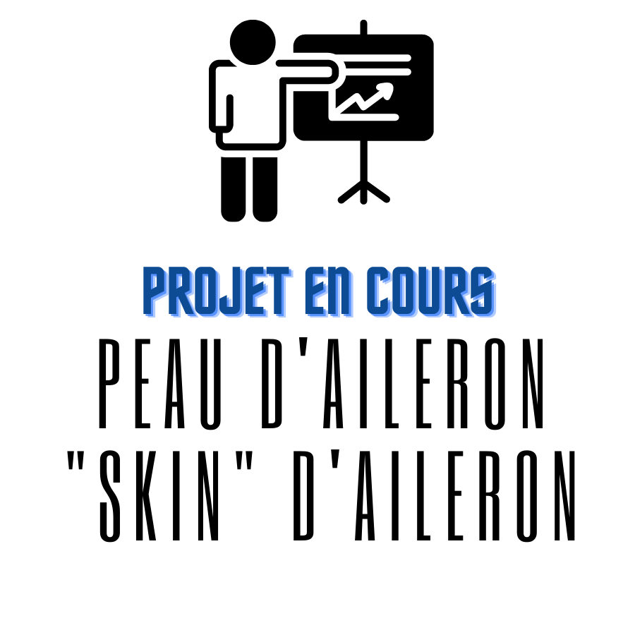 Projet-en-cours