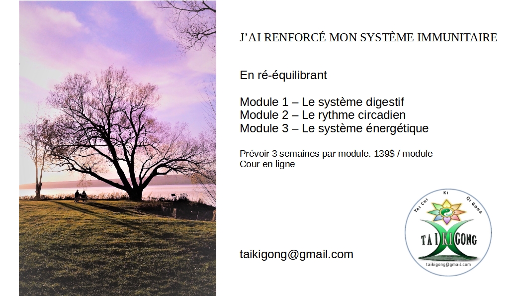 Cour en ligne
renforcer le système immunitaire
taikigong@gmail.com
Système digestif
Rythme circadien
Système énergétique
3 semaines x 3 modules