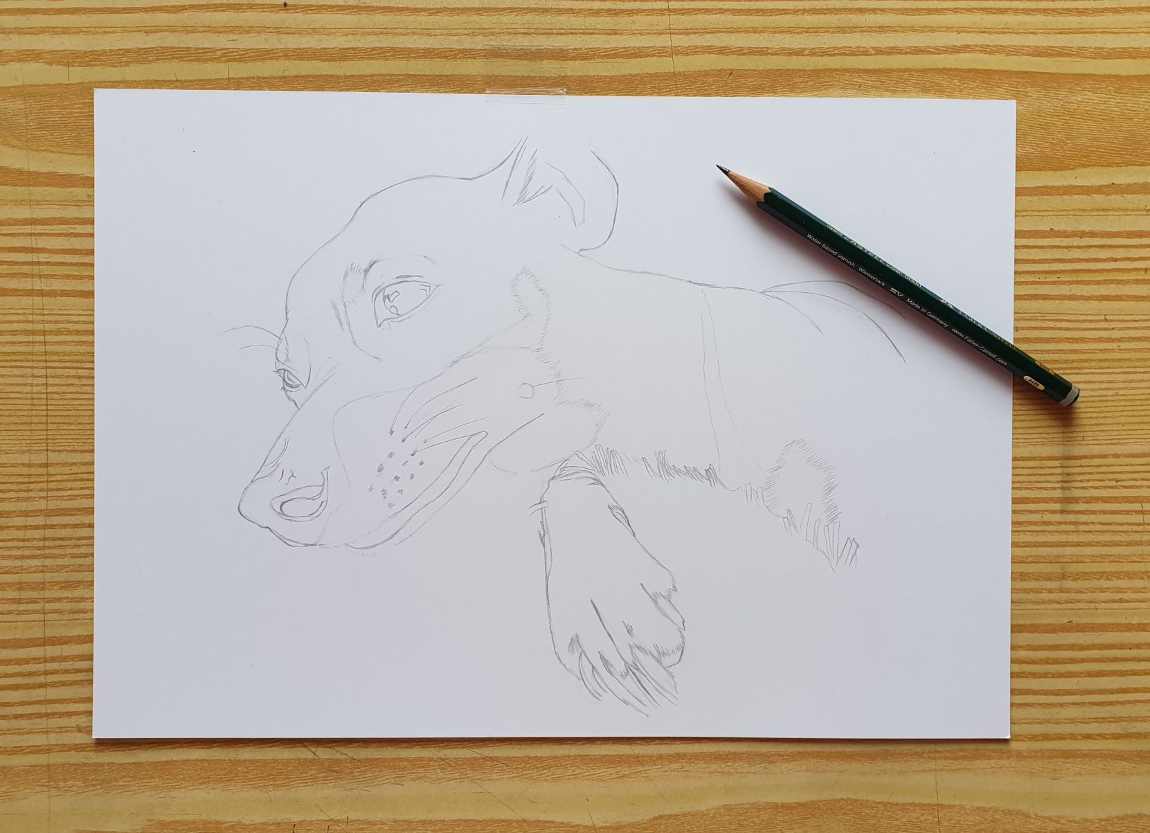 Portrait animalier