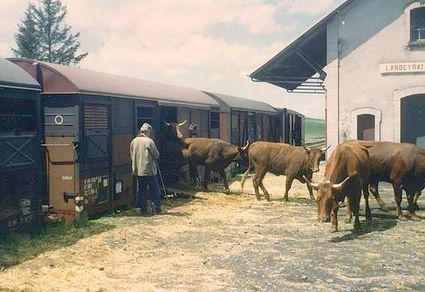 Vélorail du Cézallier Cantal Auvergne activité ludique sportif pour découvrir le Cantal autrement