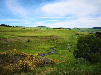 Vélorail du Cézallier Cantal Auvergne activité ludique sportif pour découvrir le Cantal autrement