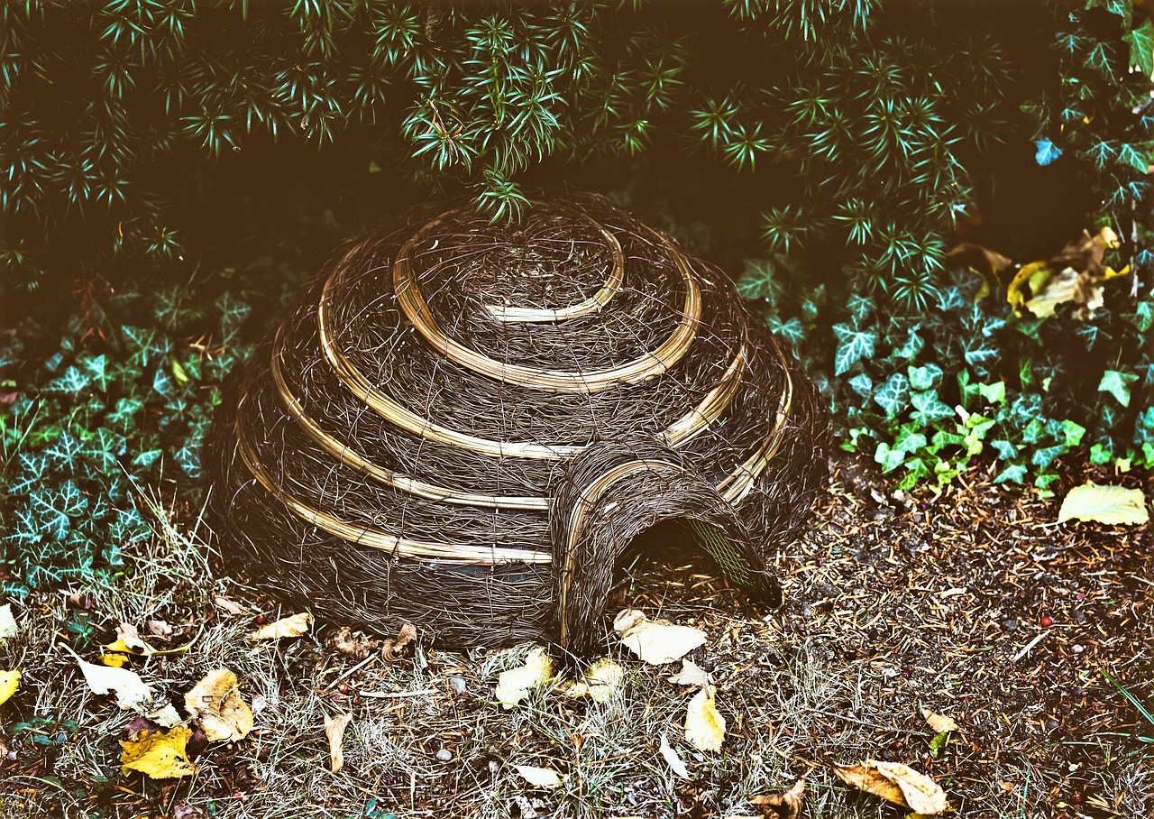 Hedgehog-house-2-