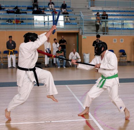 Finale-coupe-de-France-Genbudo-Seb-et-Micka-finale