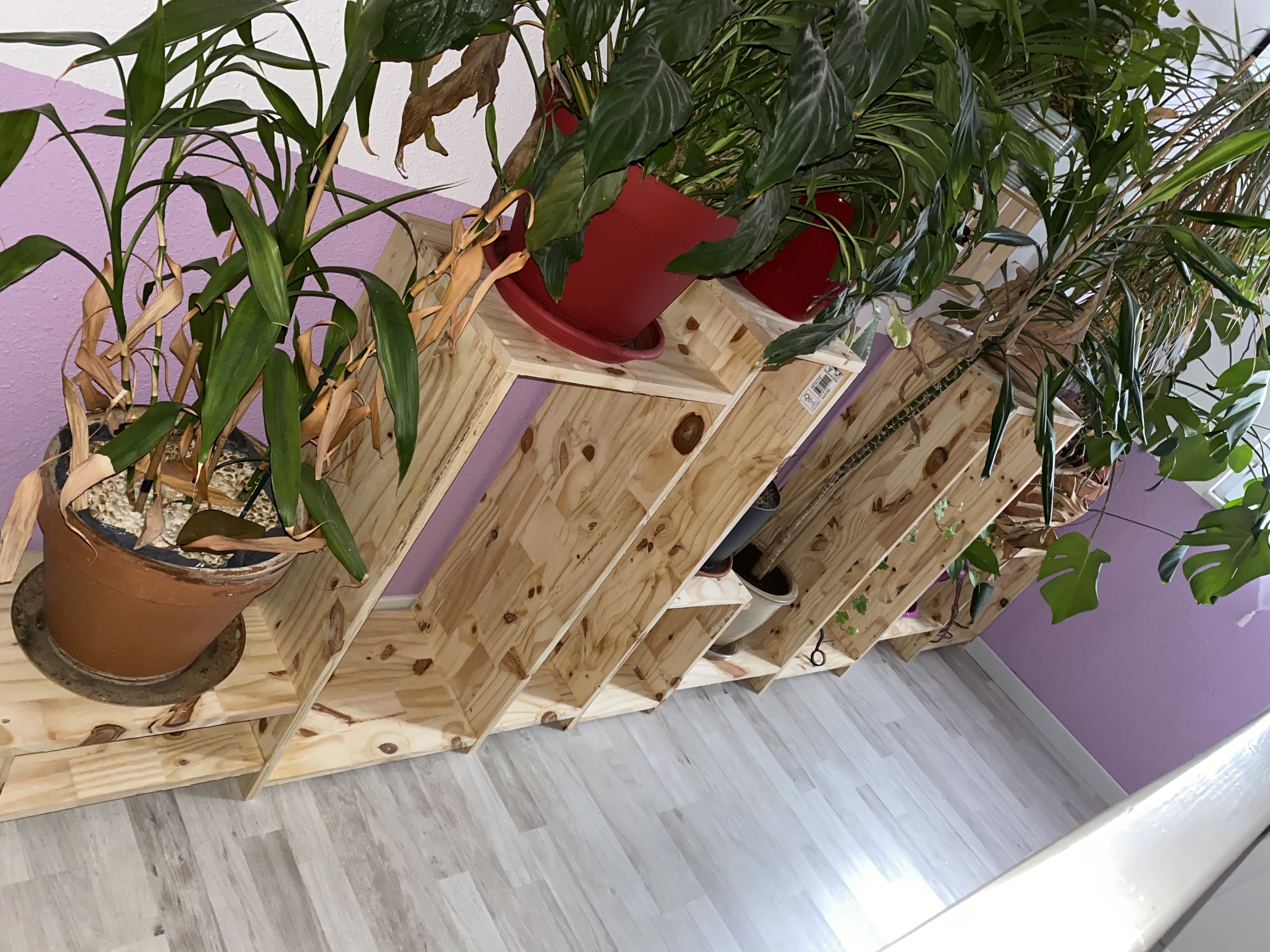 Escalier plante