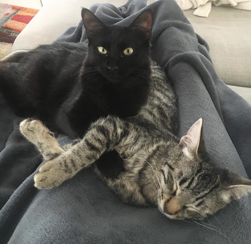 Cleo-et-coco-3
