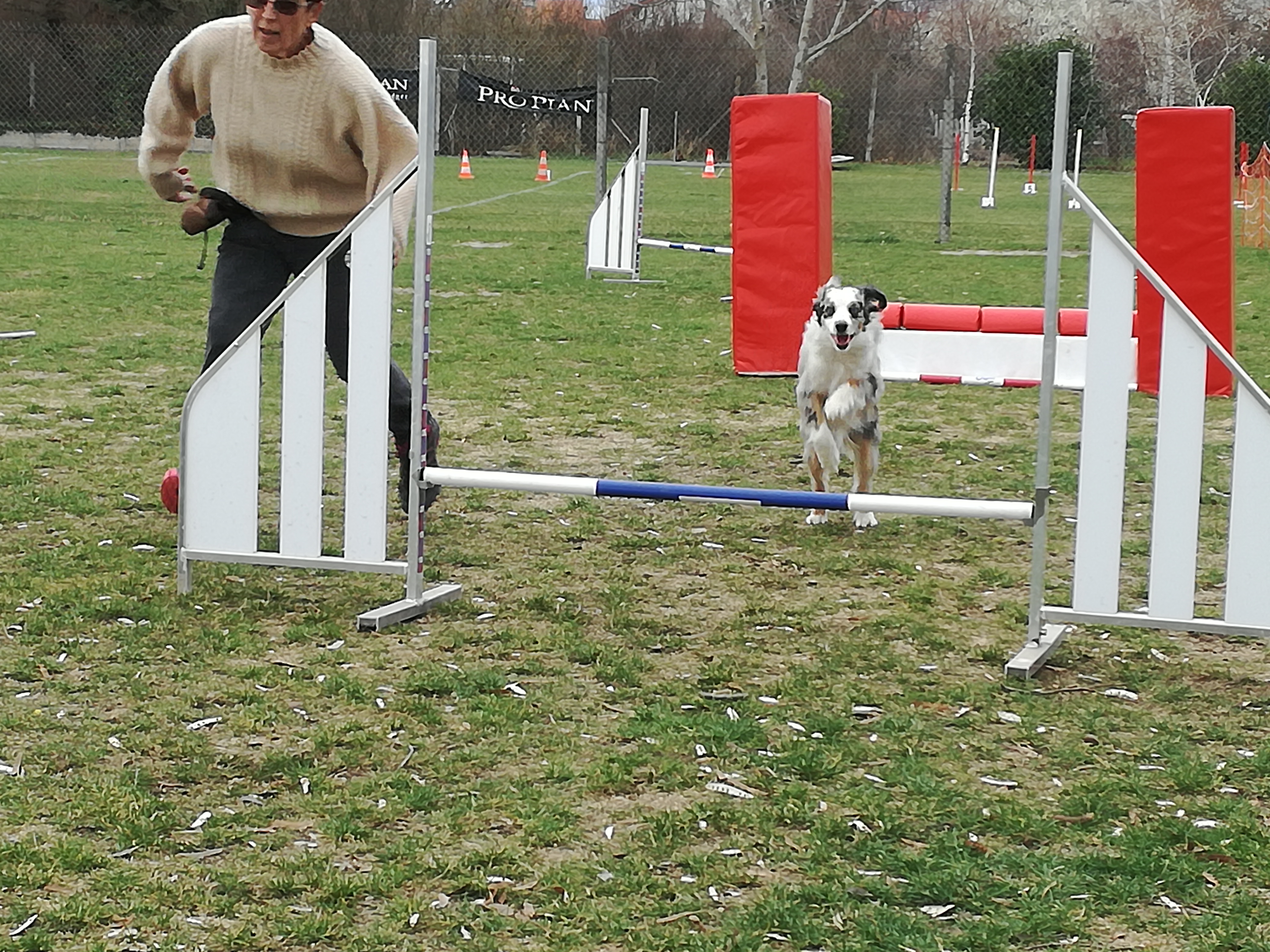 IMG 20190309 150904-3227-