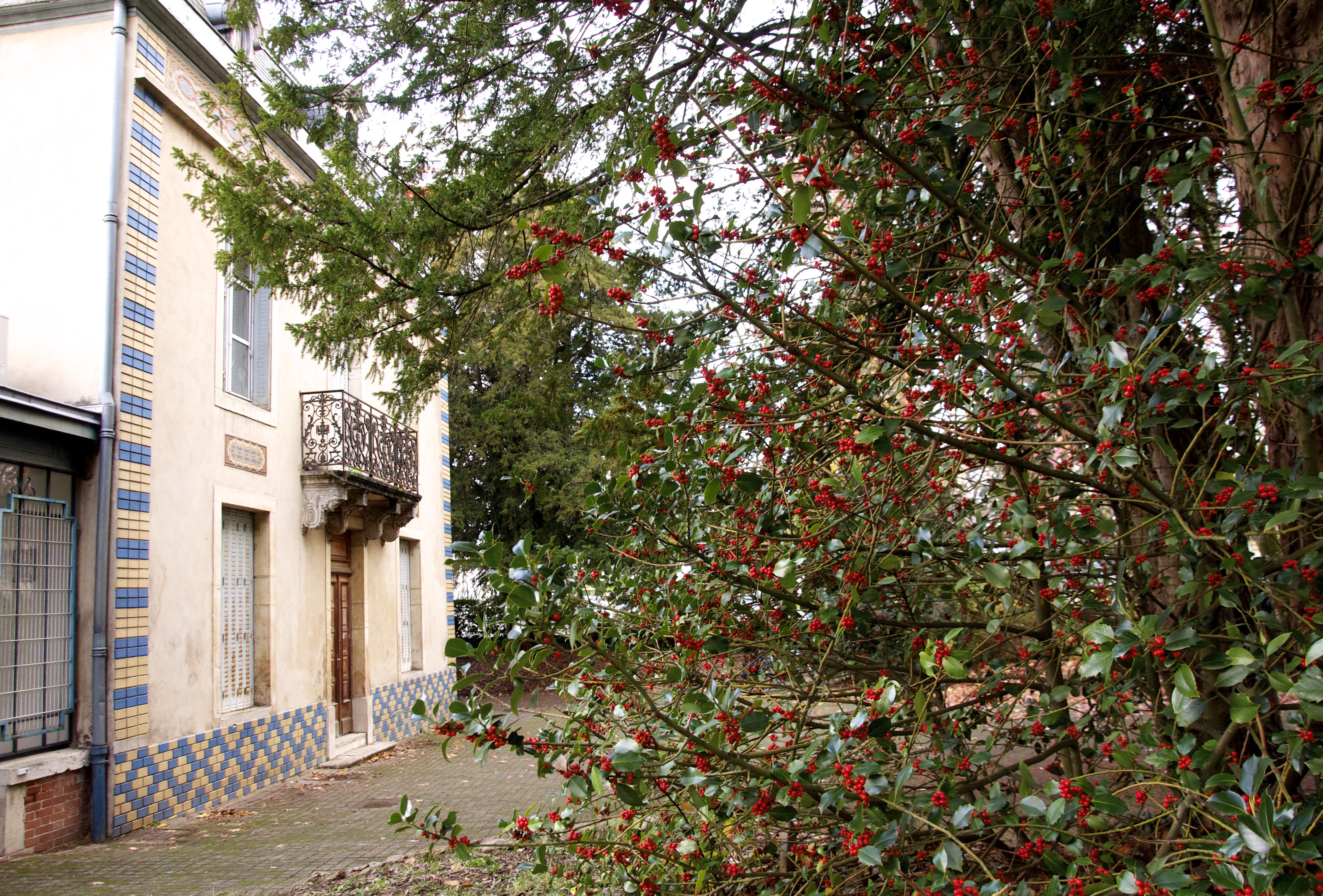 La-maison-PB-4
