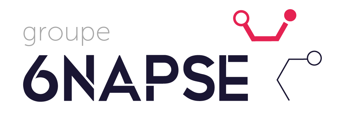 Logo-6napse-groupe