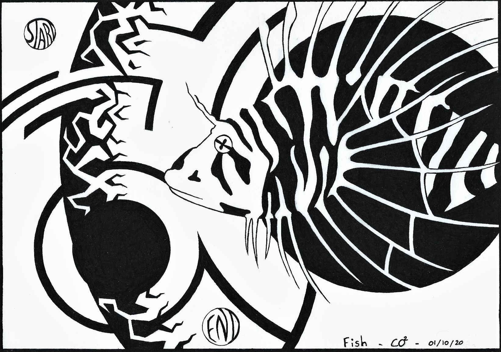 01 fish 2 