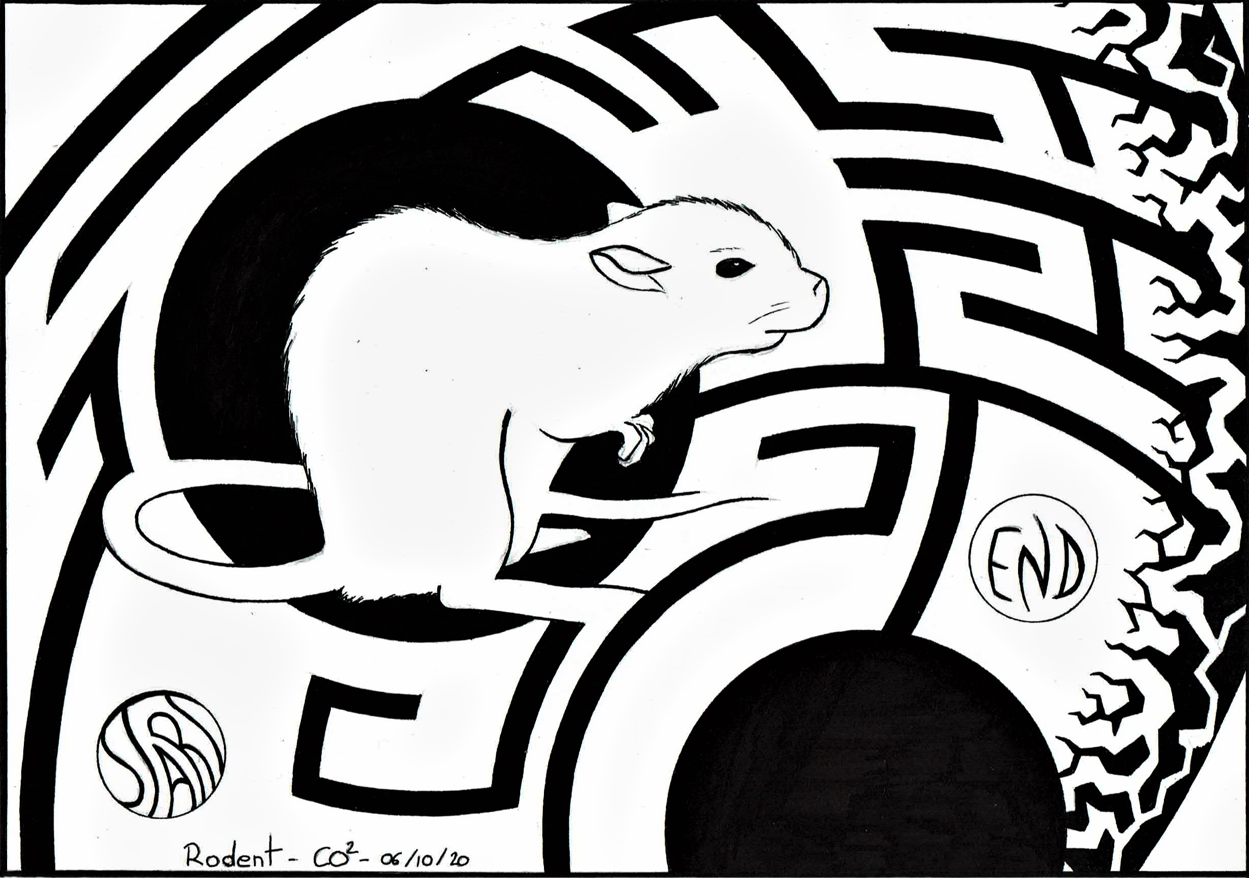 06 rodent 2 