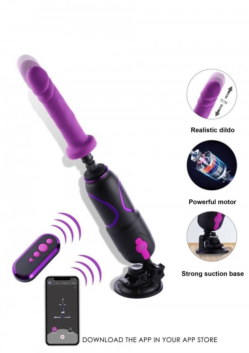 40007 PURPLE 04