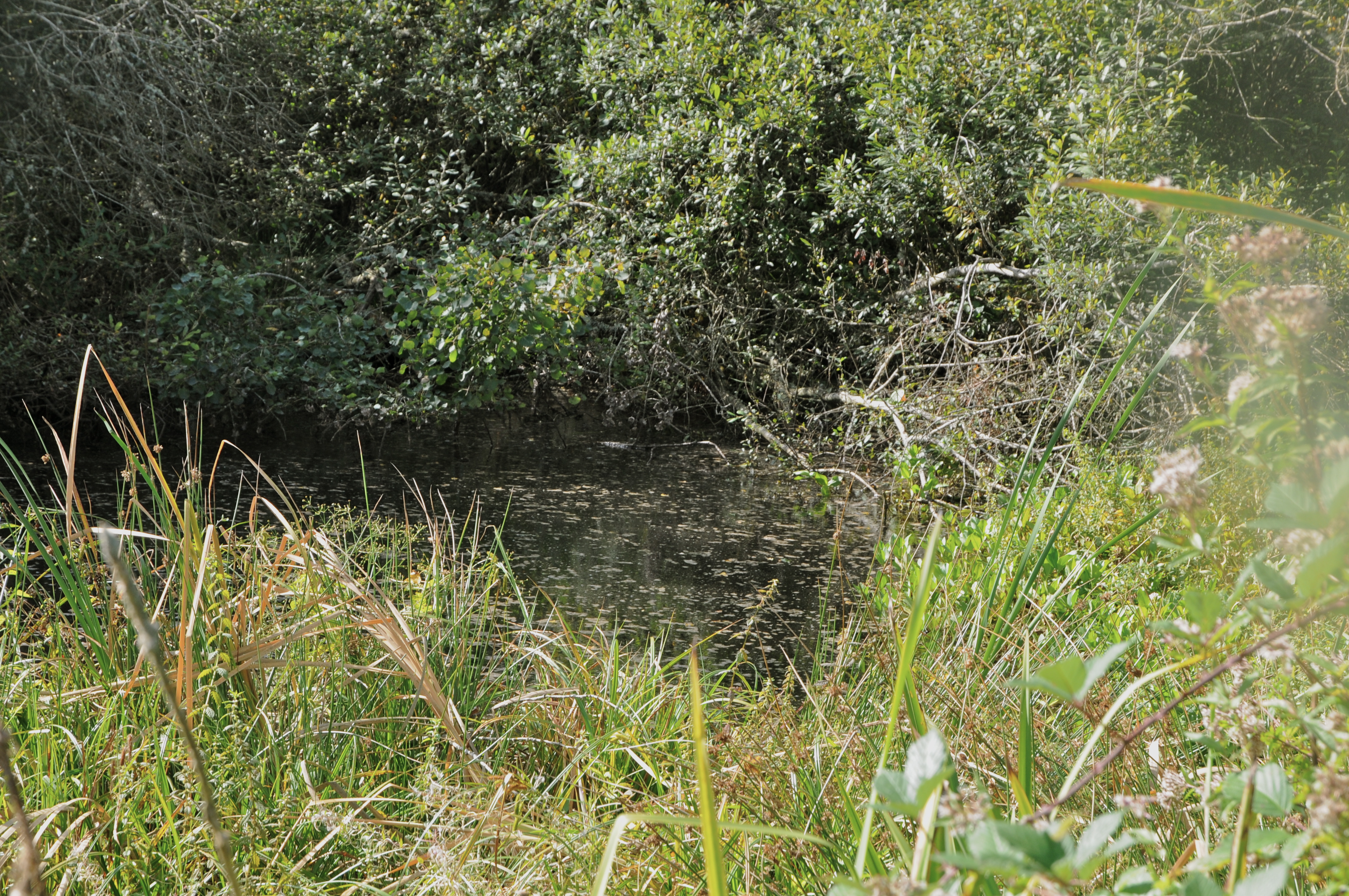 Dsc 5373