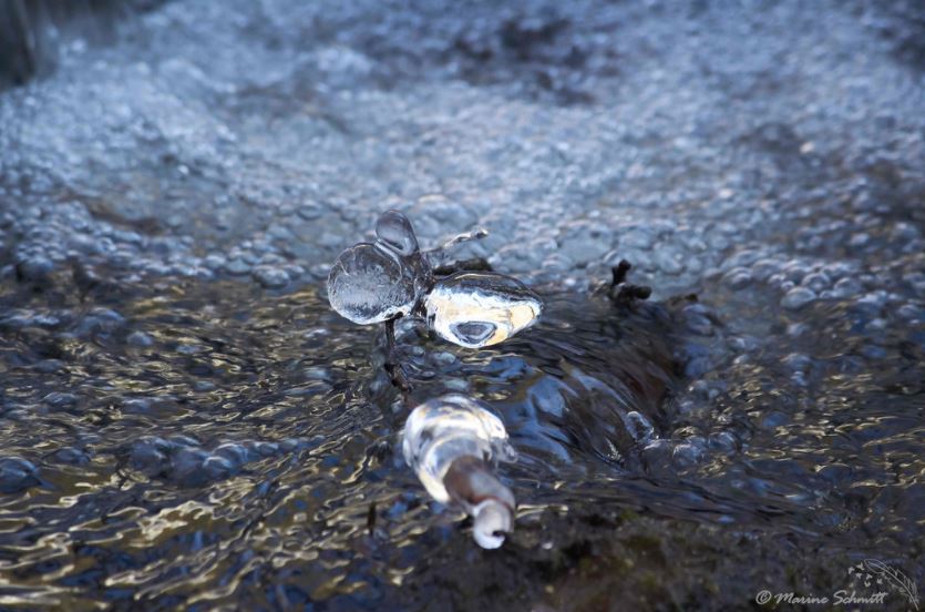 Eau
