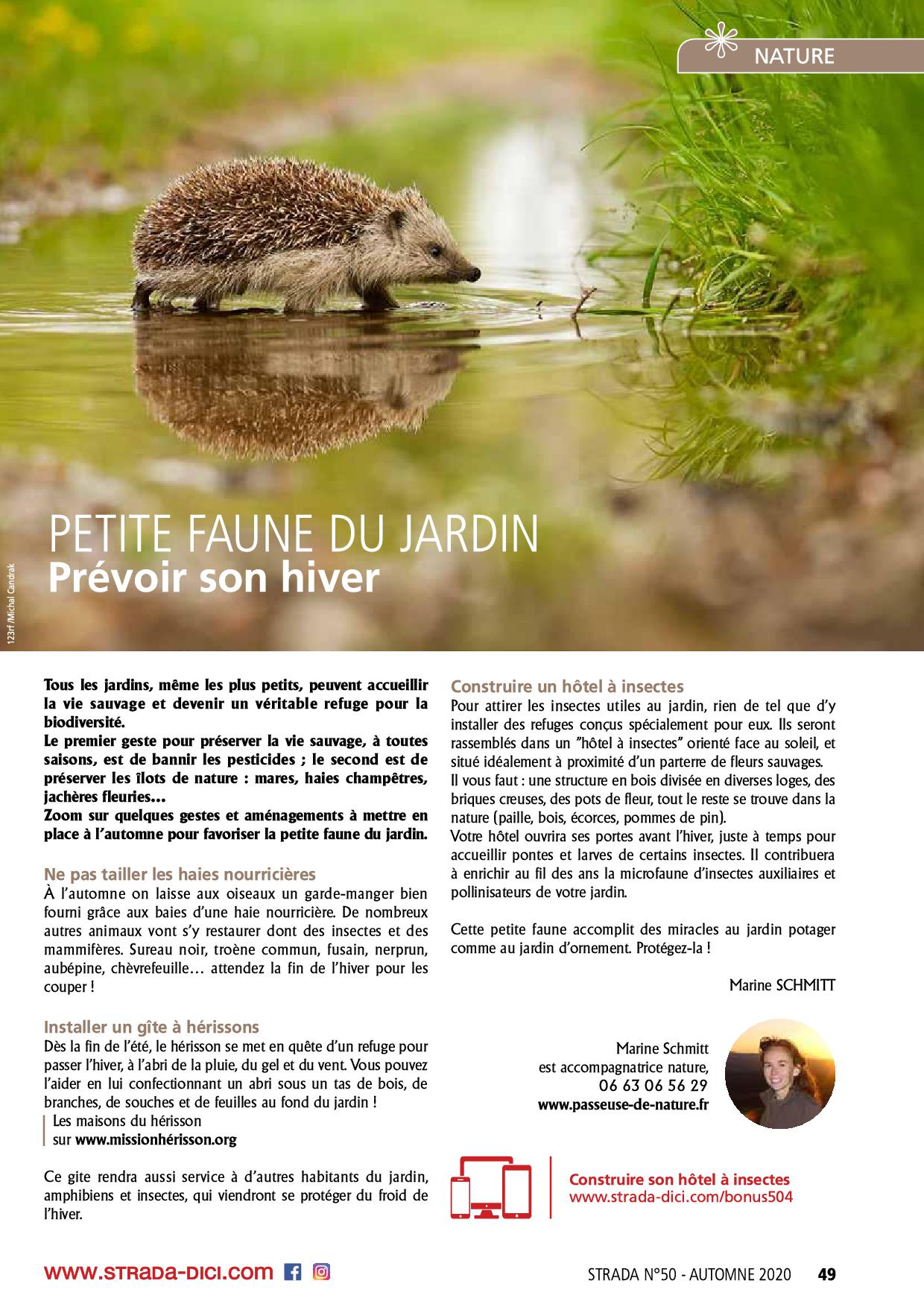 Page-Marine-de-strada50