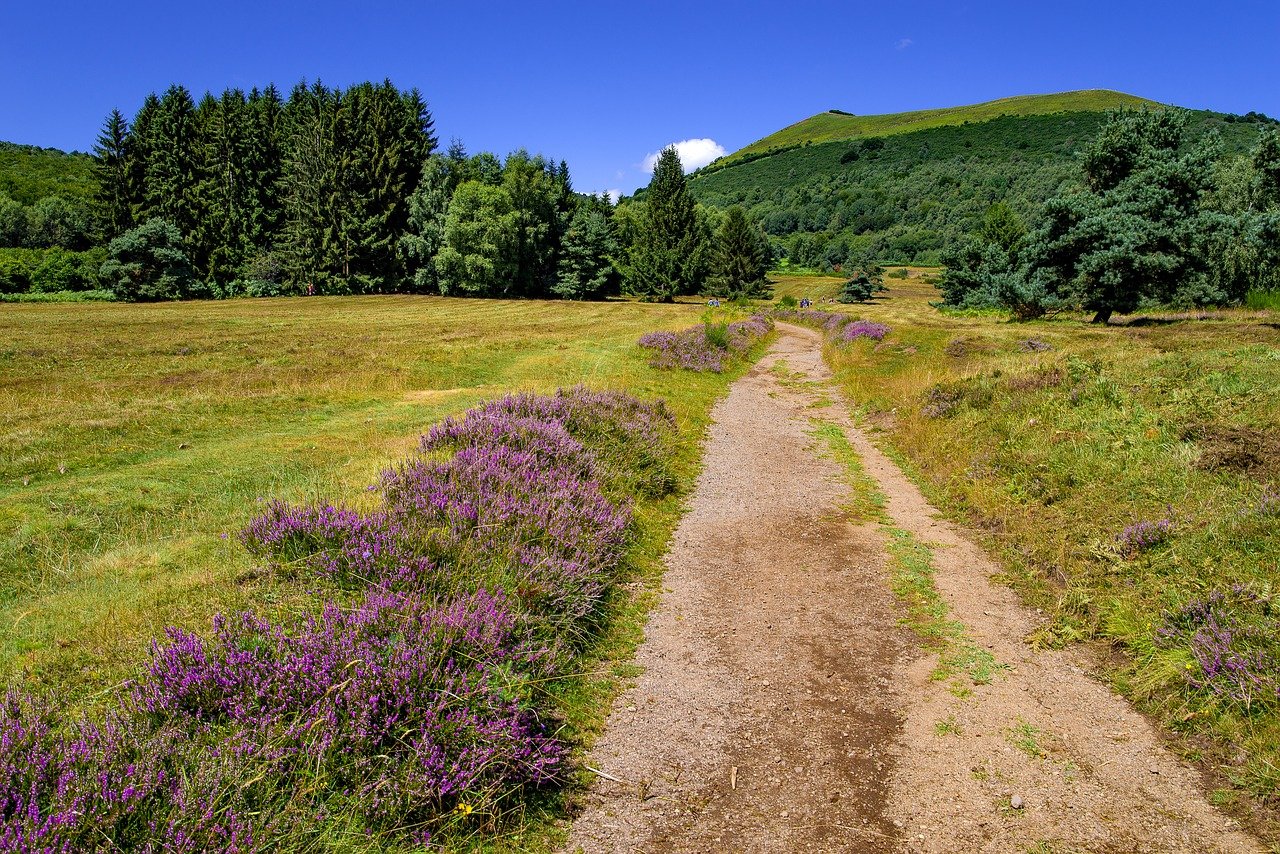 Landscape-3657268 1280