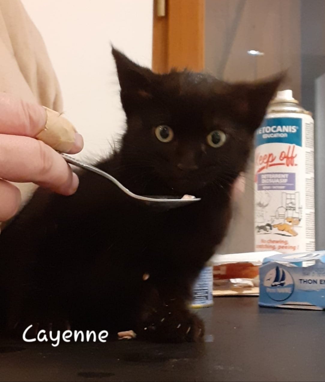 Cayenne