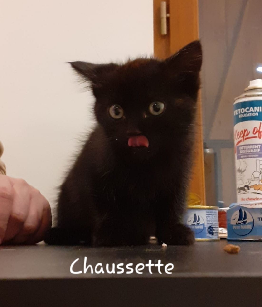 Chaussette