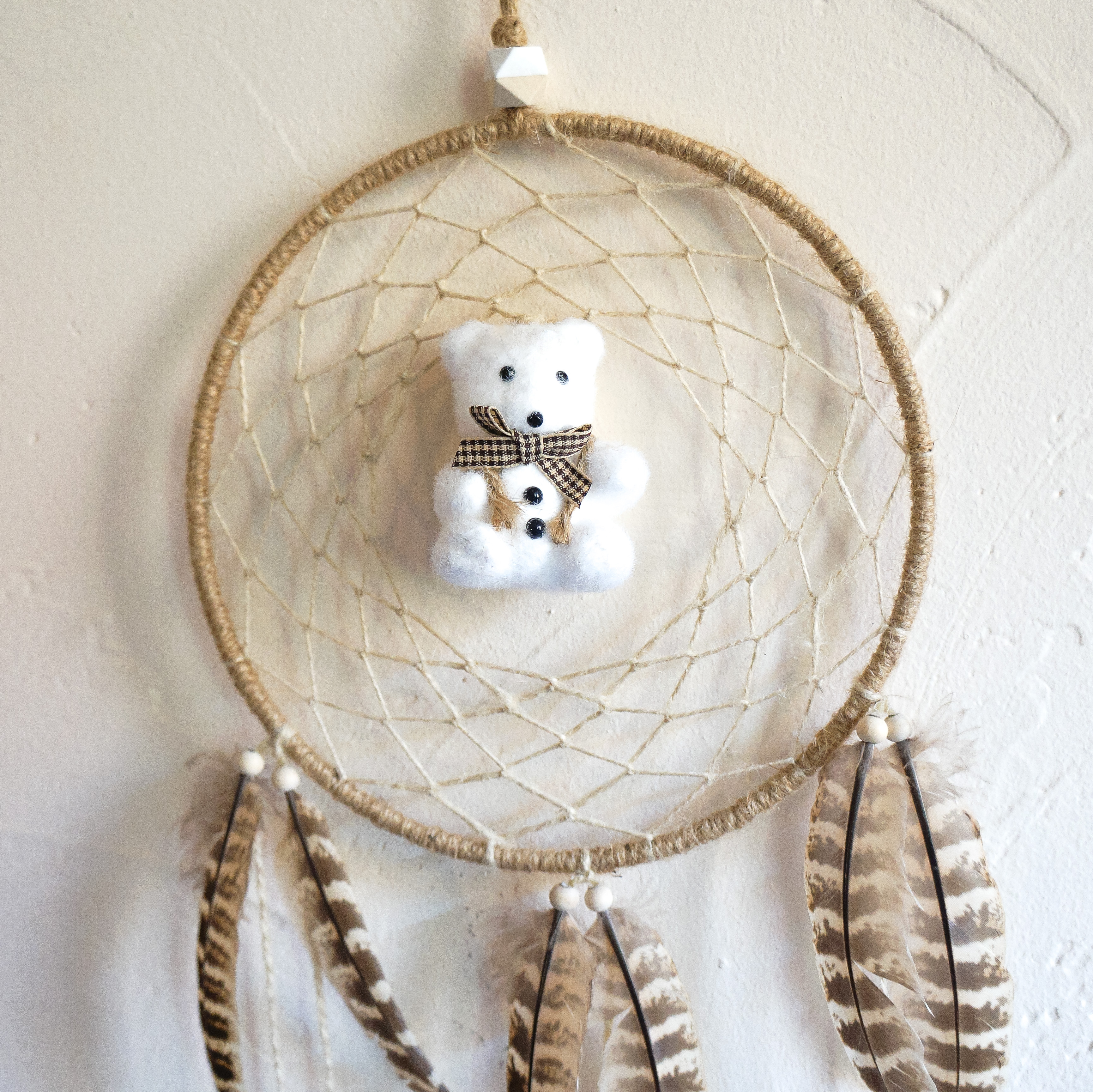 Teddy def detail