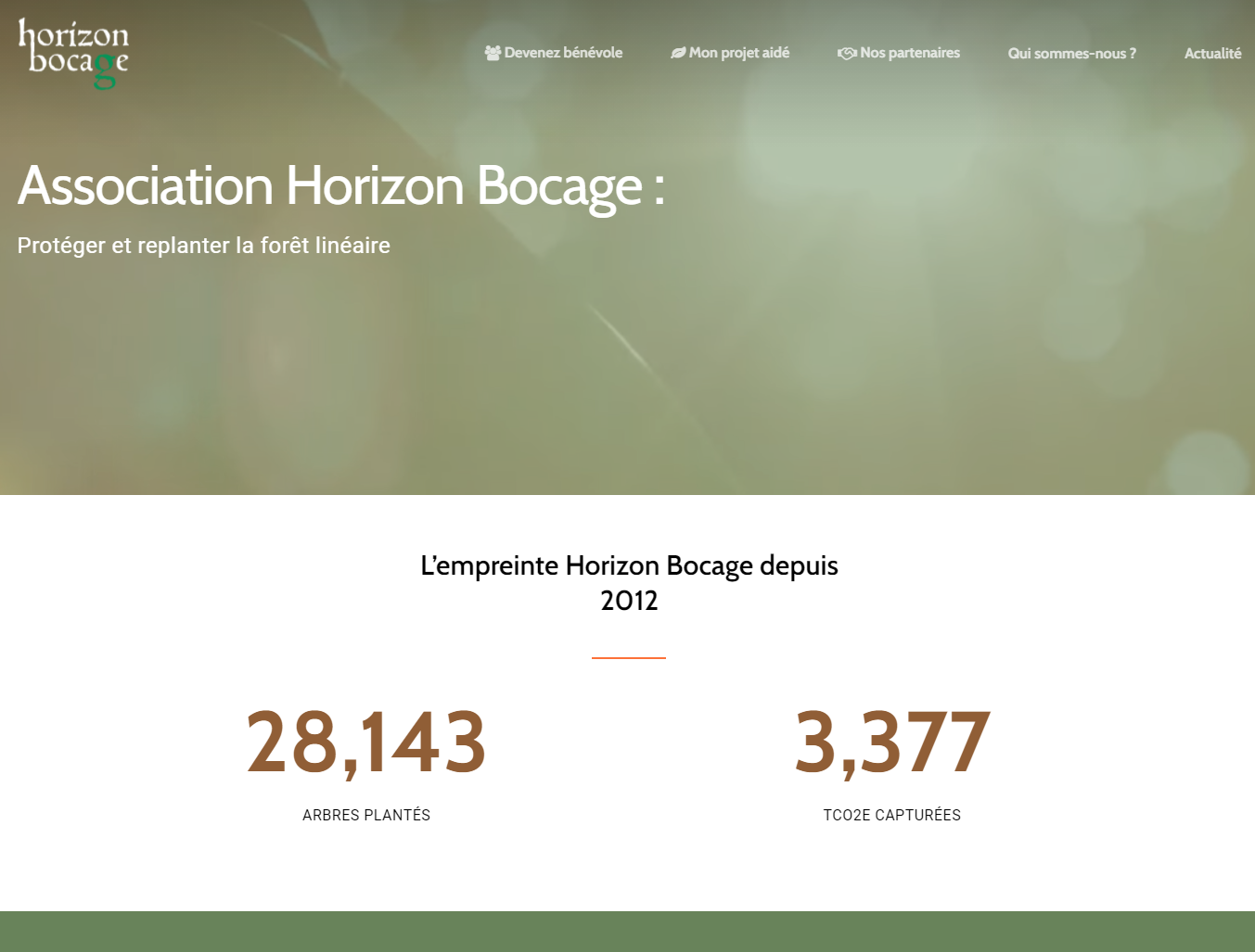 AHB-New-website