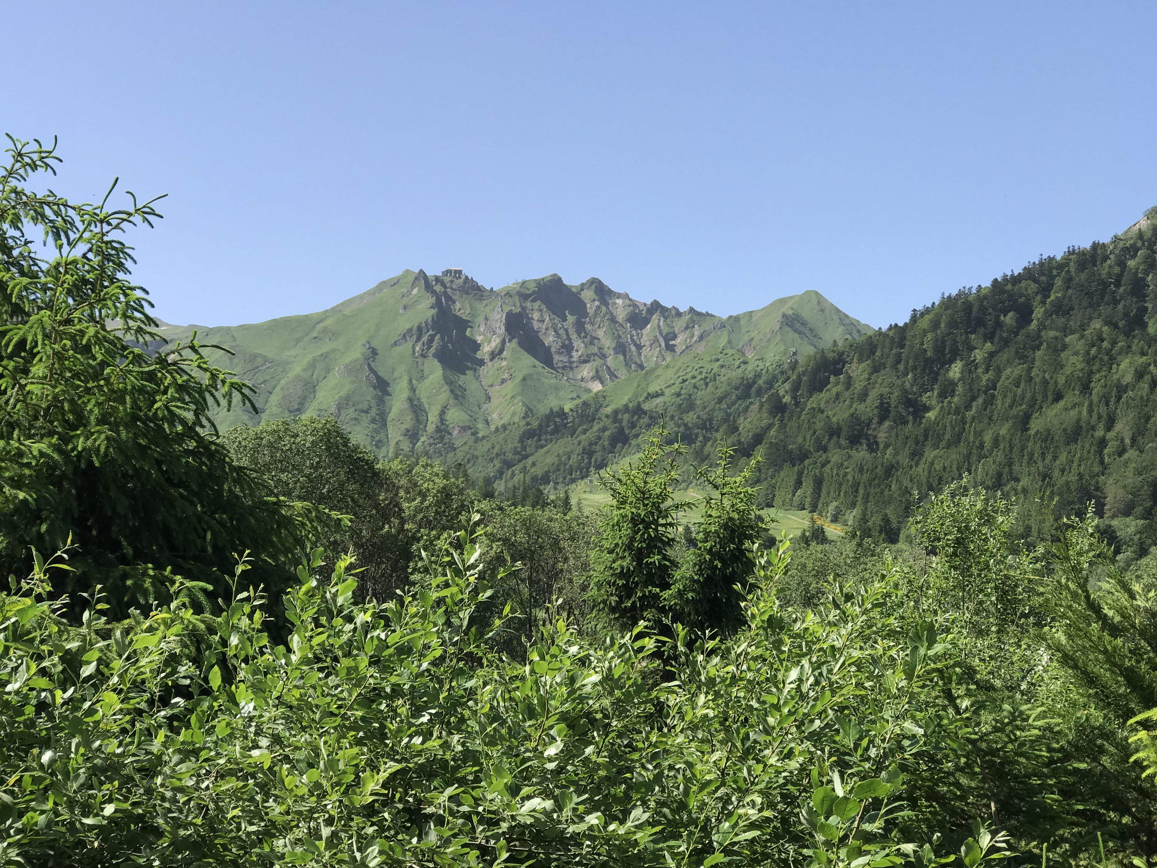 Photo la musardiere 12