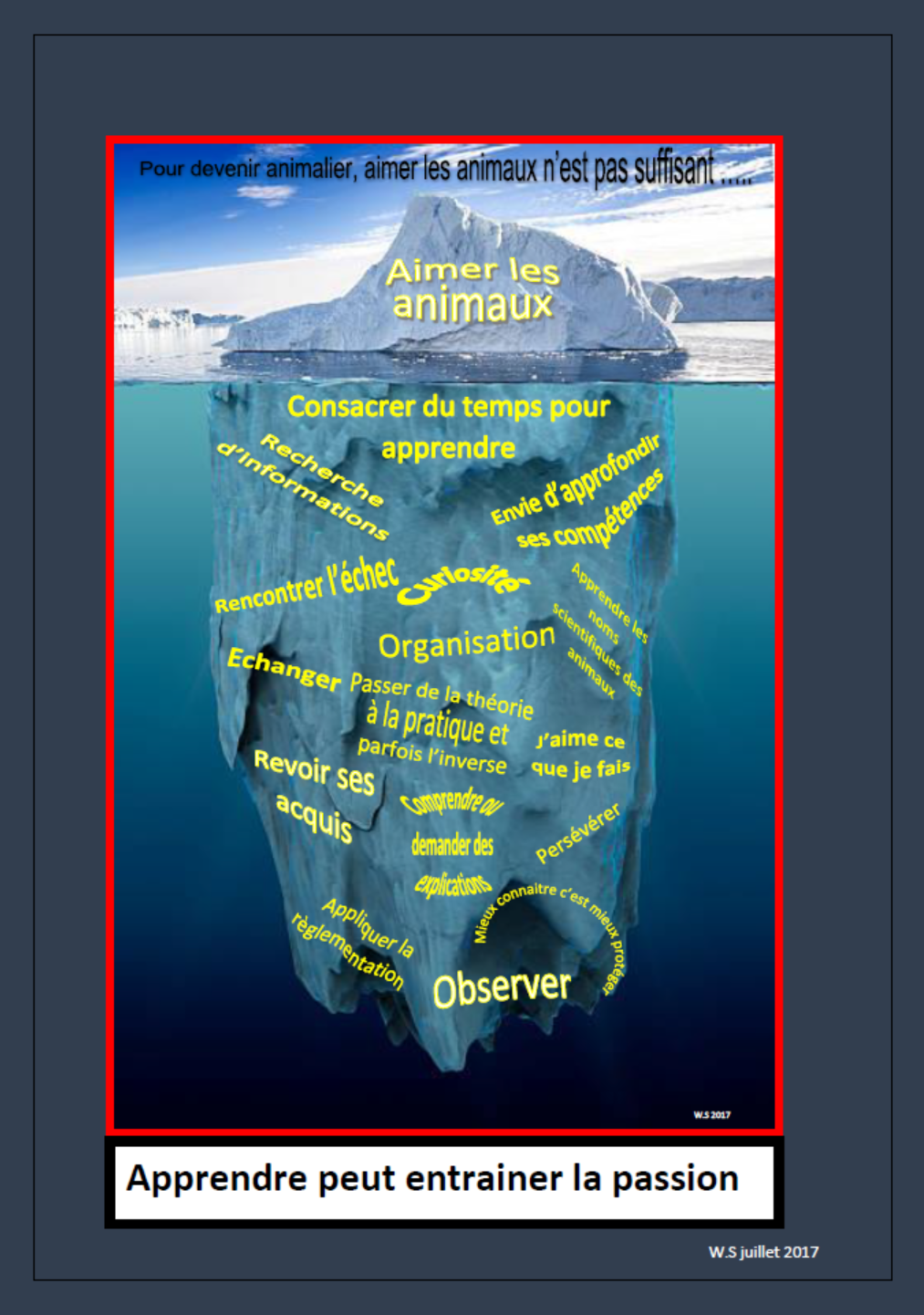 Iceberg