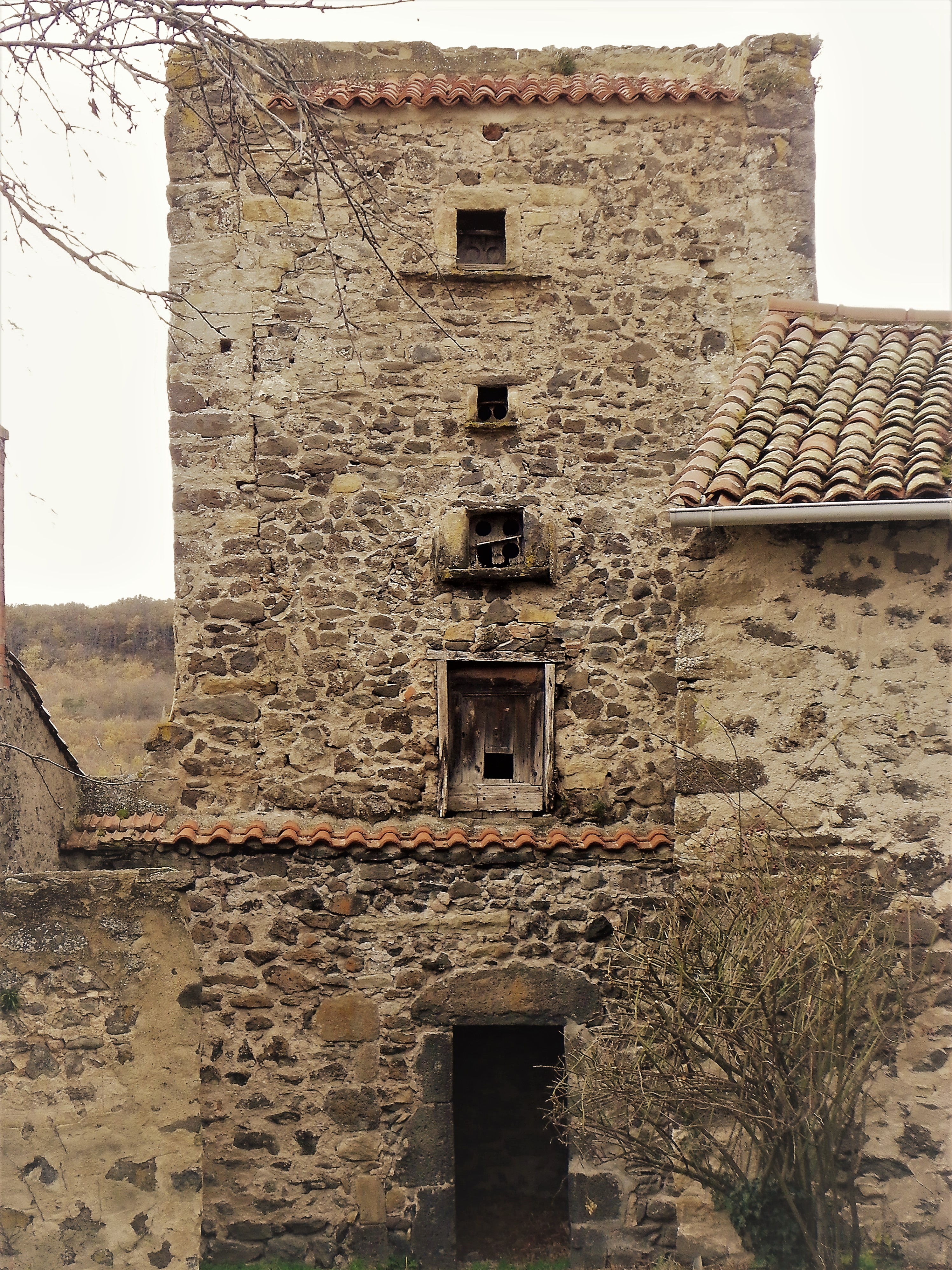 Imgp0047 2 