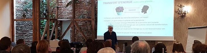 formation en magnétisme Toulouse